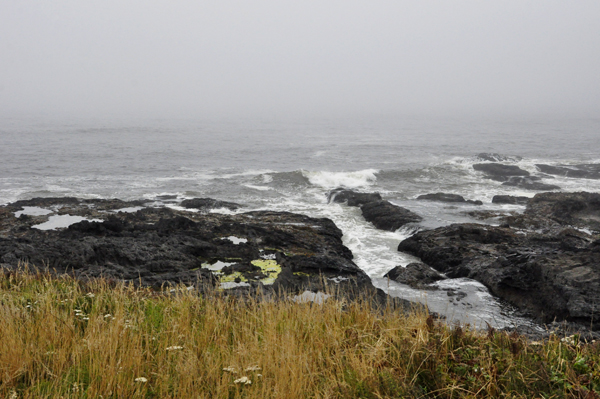 inlet from the Pacific Ocea